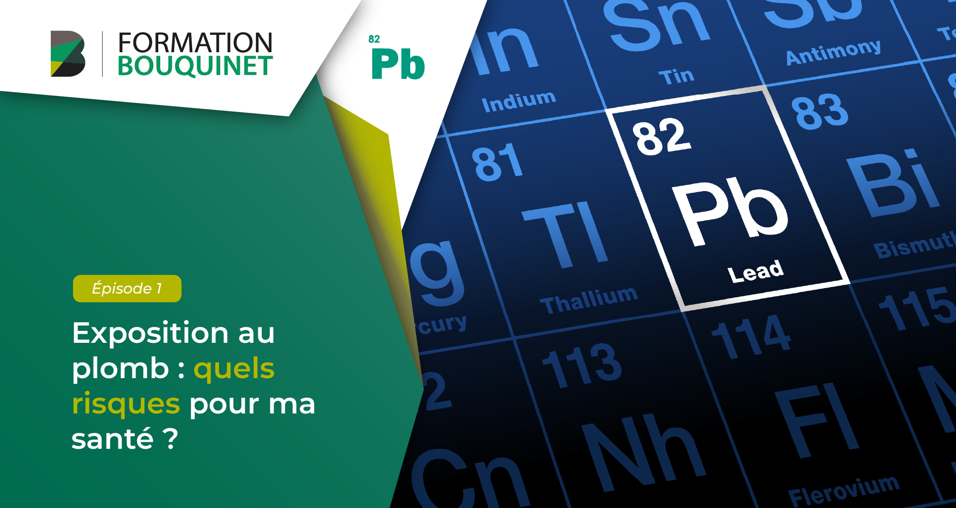 Exposition au plomb et santé